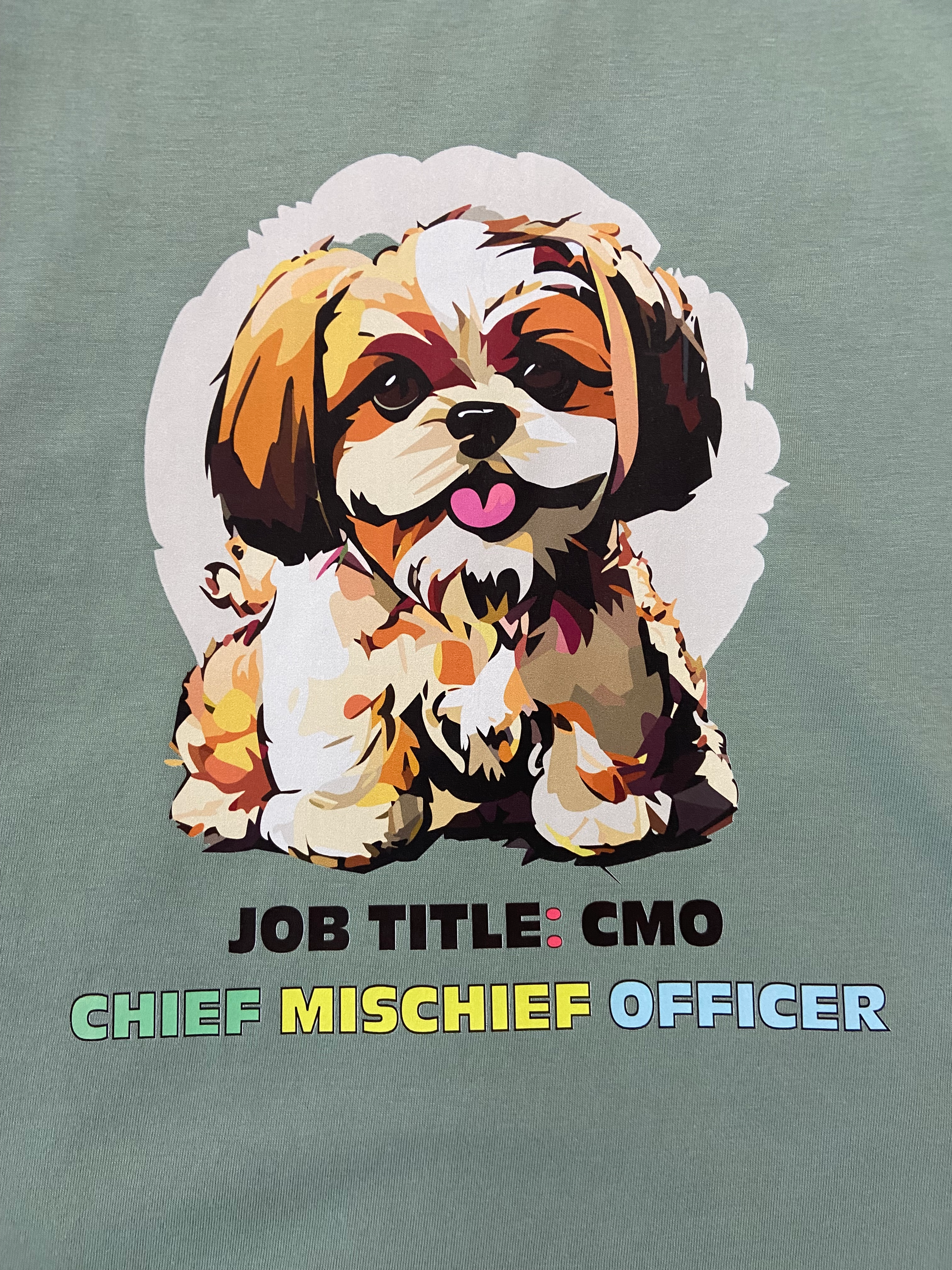 100% cotton TShirt in Light Sage Green color with Shih Tzu dog face graphic in front